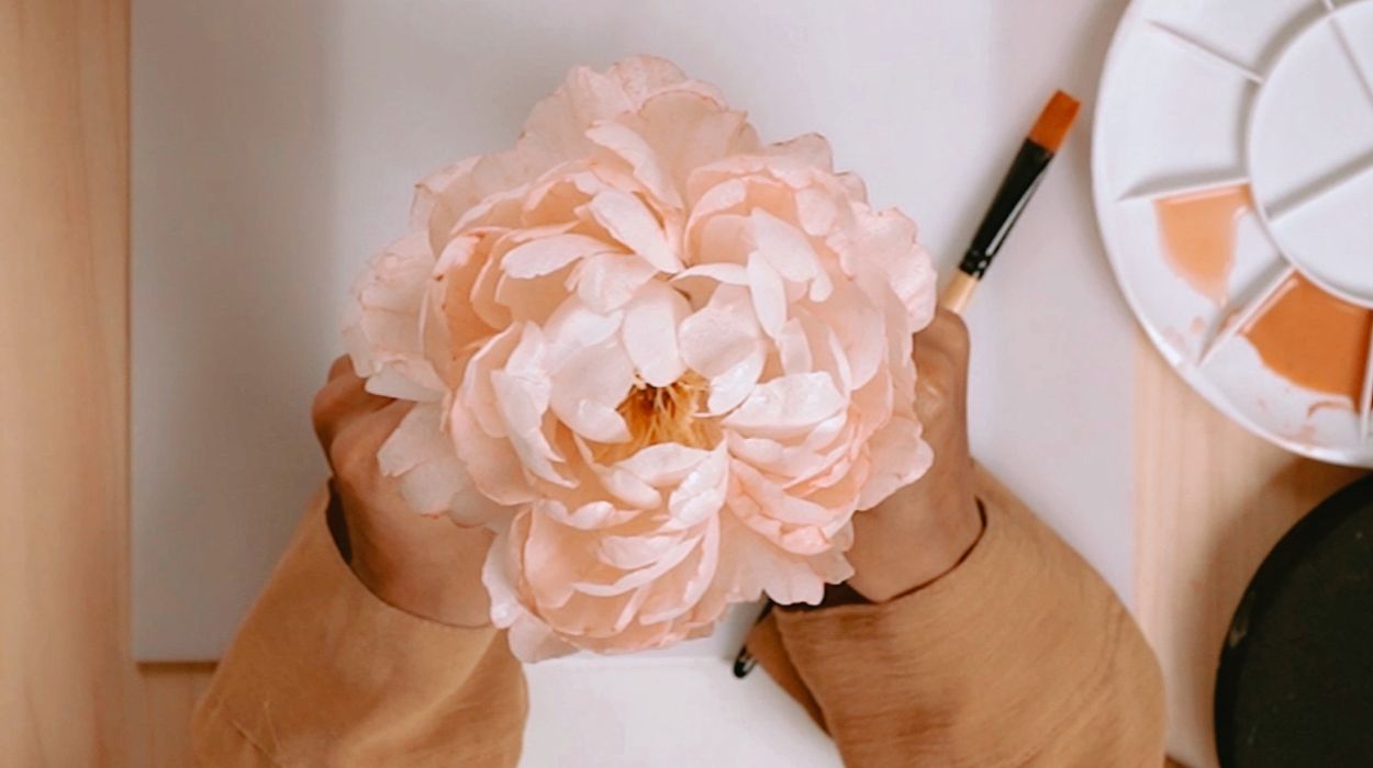 blog
